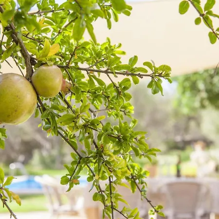 Holiday home Es Garrover - With Private Pool In Cala Millor Free Wifi *